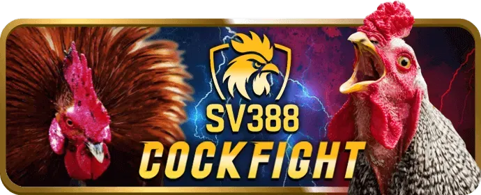 Cá cược thể thao VN138